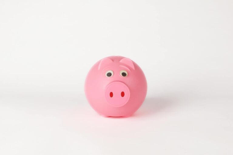 close up photo of cute pink piggy bank